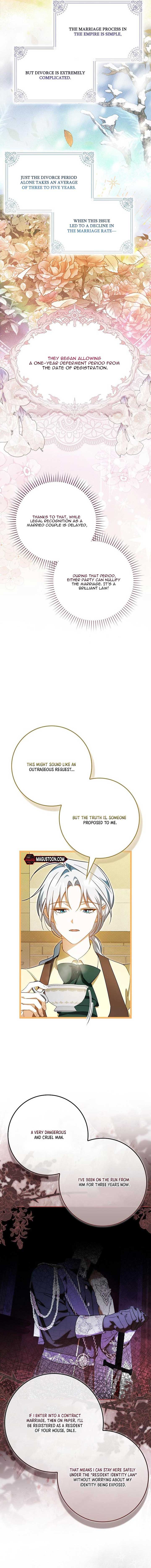 My Contract Husband Resembles the Male Protagonist Chapter 3 page 5