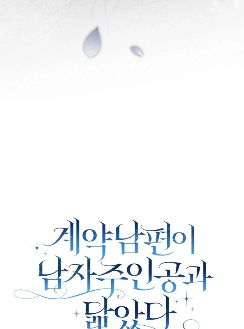 My Contract Husband Resembles the Male Protagonist Chapter 31 page 48