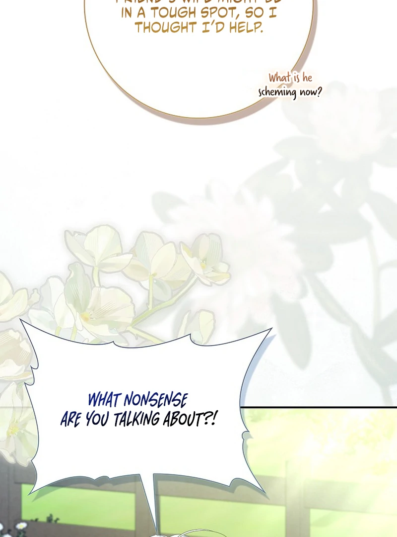My Contract Husband Resembles the Male Protagonist Chapter 34 page 17