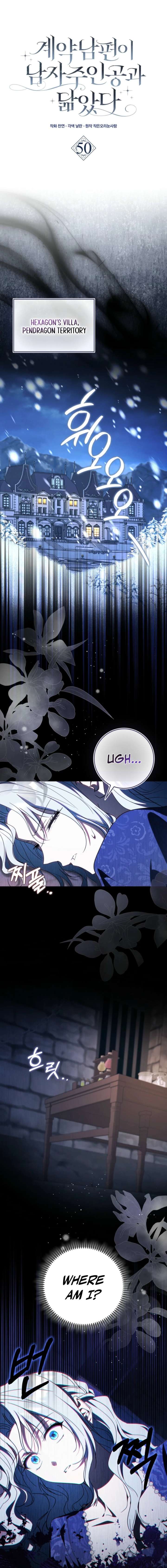 My Contract Husband Resembles the Male Protagonist Chapter 50 page 6