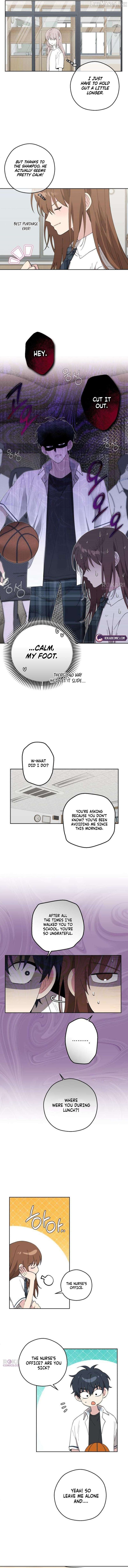My Gorgeous Nightmare Chapter 13 page 3