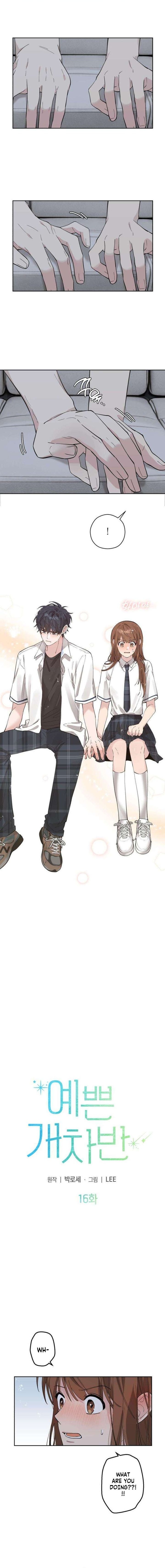 My Gorgeous Nightmare Chapter 16 page 1