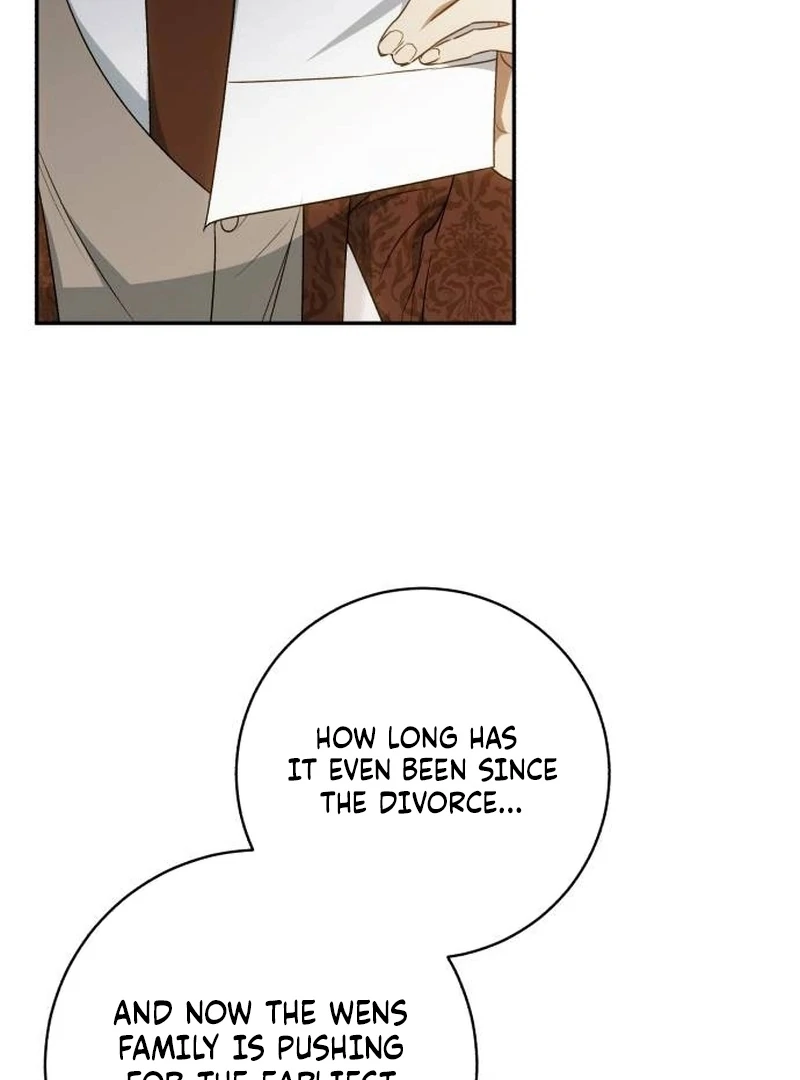 My Husband Was Stolen Twice Chapter 17 page 27