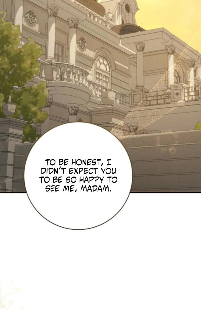 My Husband Was Stolen Twice Chapter 19 page 81