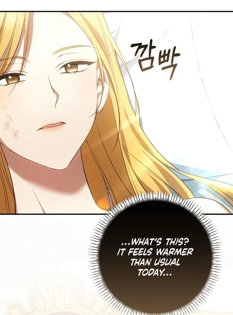 My Husband Was Stolen Twice Chapter 26 page 5