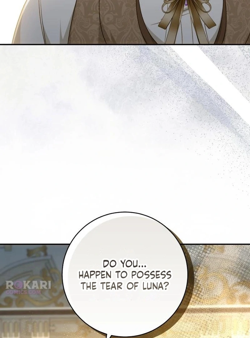 My Husband Was Stolen Twice Chapter 29 page 71