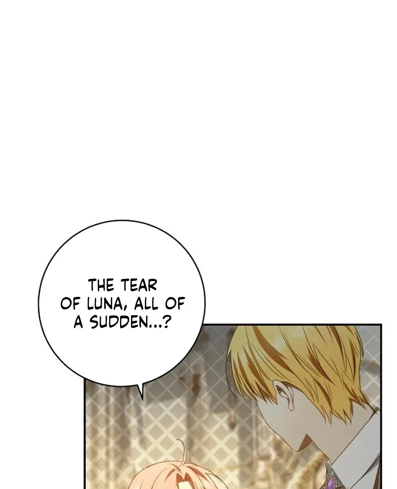 My Husband Was Stolen Twice Chapter 29 page 73