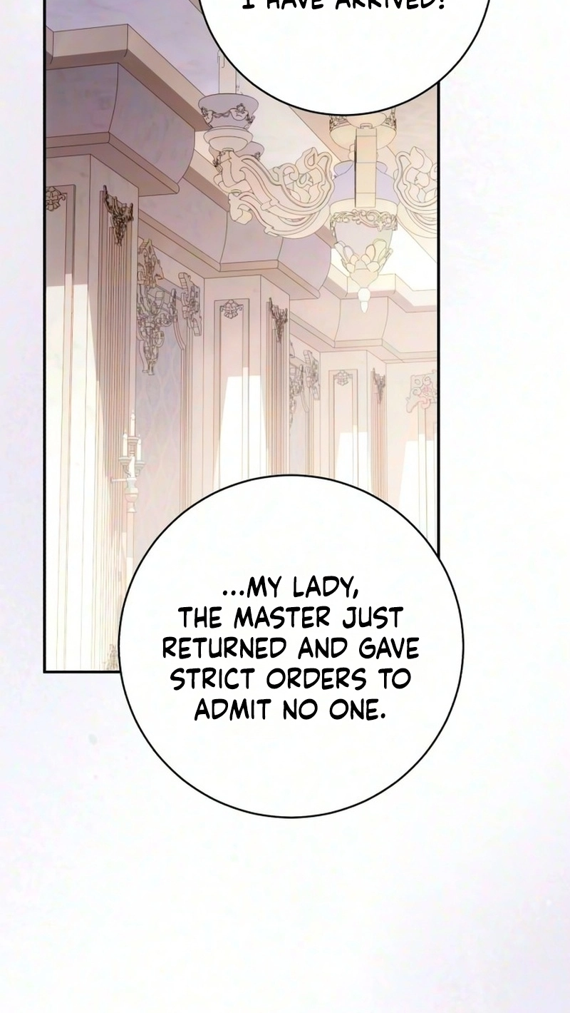 My Husband Was Stolen Twice Chapter 58 page 96