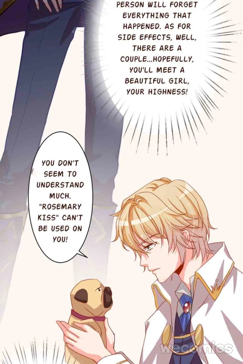 My Manservant Prince Chapter 1 page 44