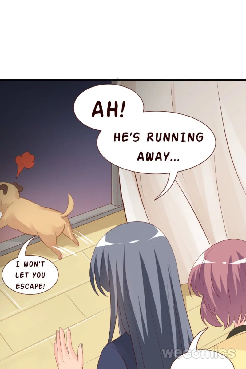 My Manservant Prince Chapter 41 page 25