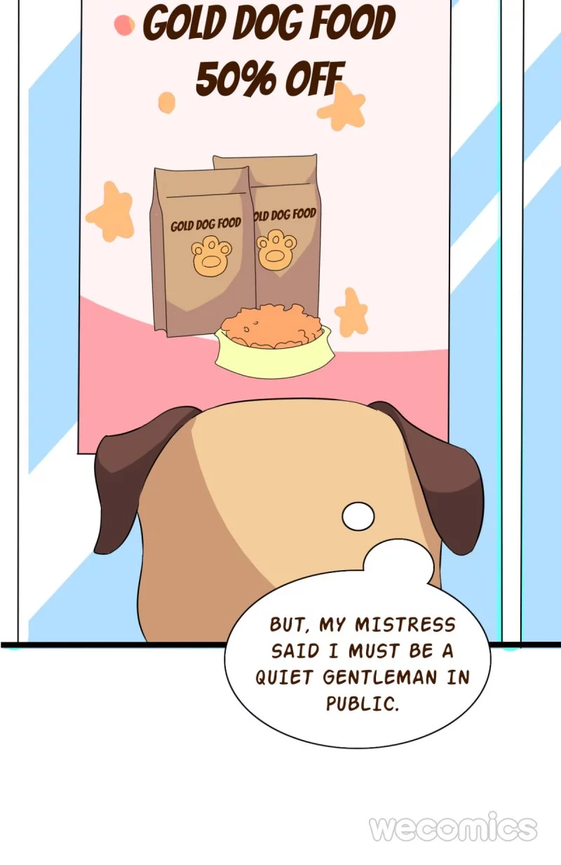 My Manservant Prince Chapter 6 page 20