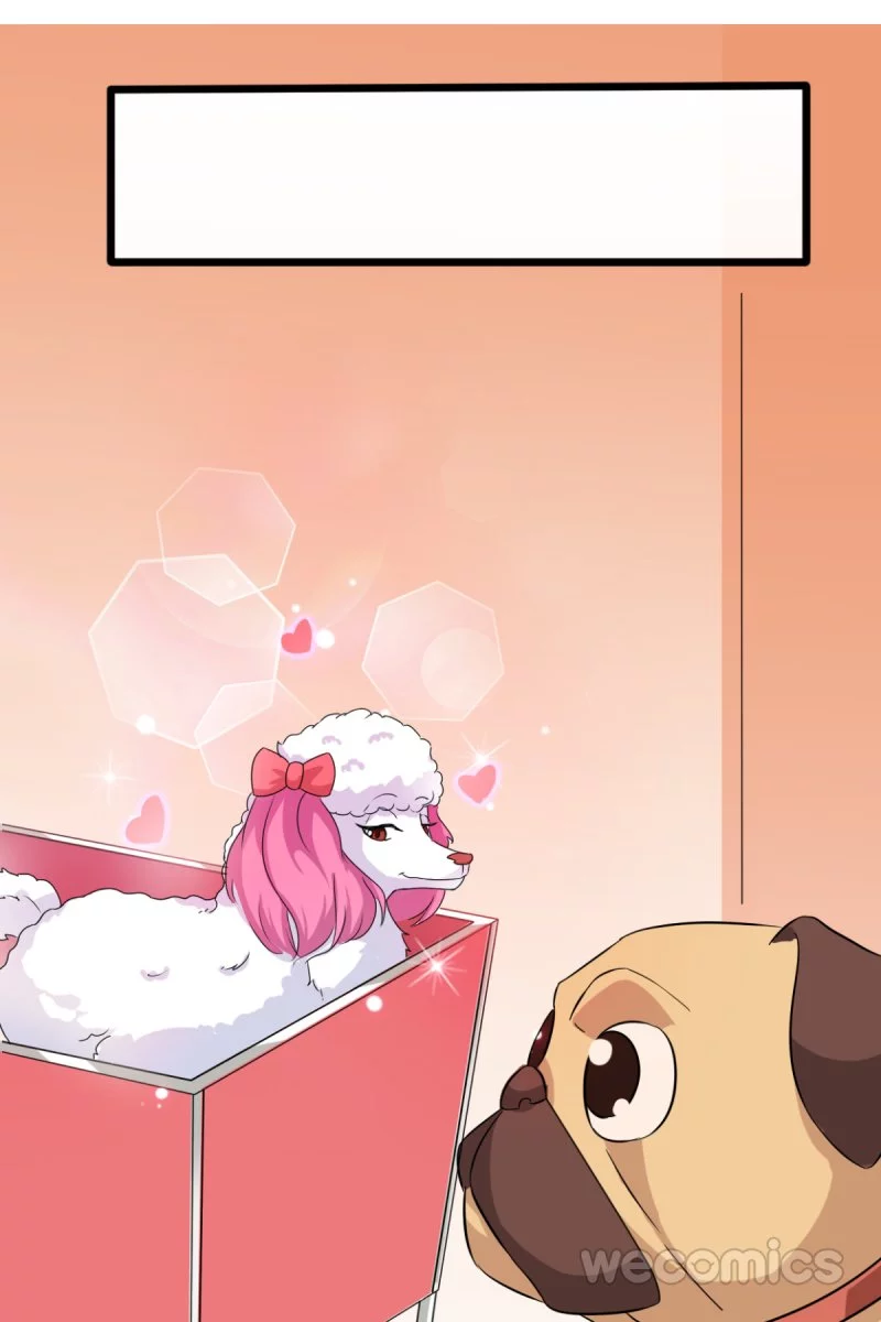 My Manservant Prince Chapter 6 page 26