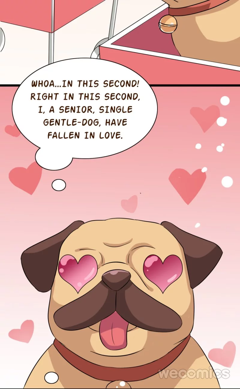 My Manservant Prince Chapter 6 page 27