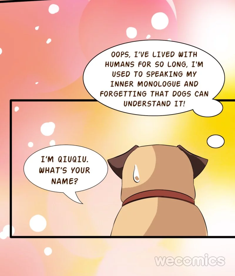 My Manservant Prince Chapter 6 page 29