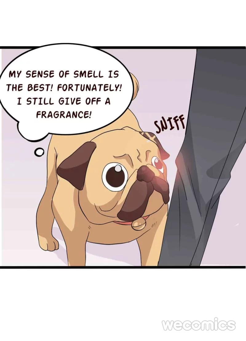 My Manservant Prince Chapter 7 page 33