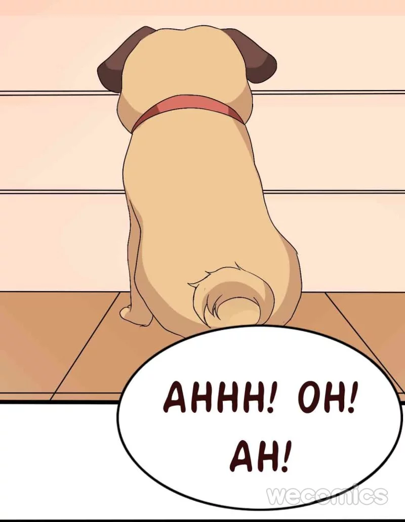 My Manservant Prince Chapter 7 page 12
