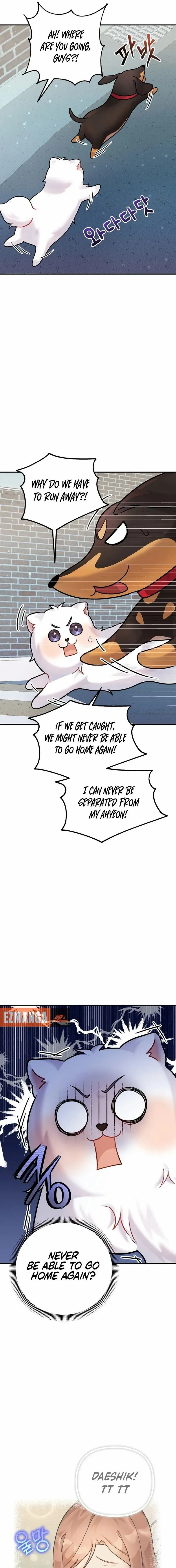 My masculine Puppy Chapter 12 page 18