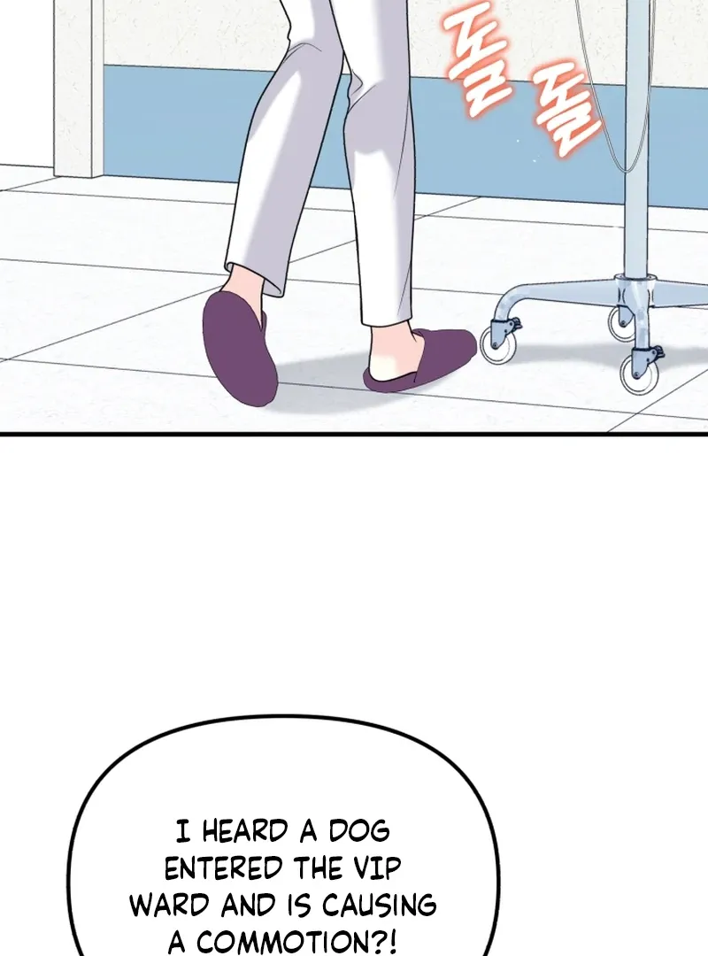 My masculine Puppy Chapter 43 page 50