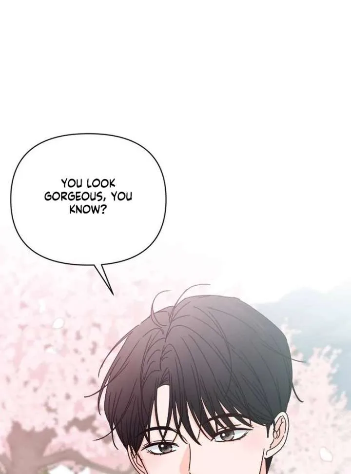 My Meddler in Love Chapter 1 page 12