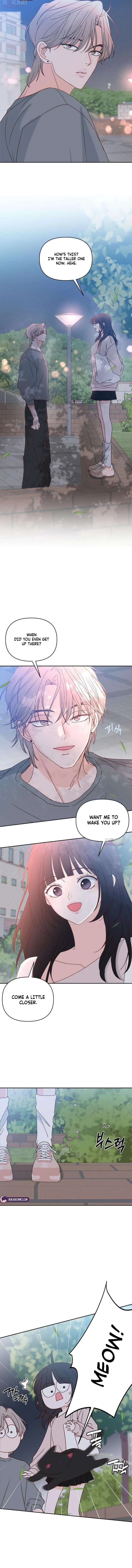 My Meddler in Love Chapter 17 page 11
