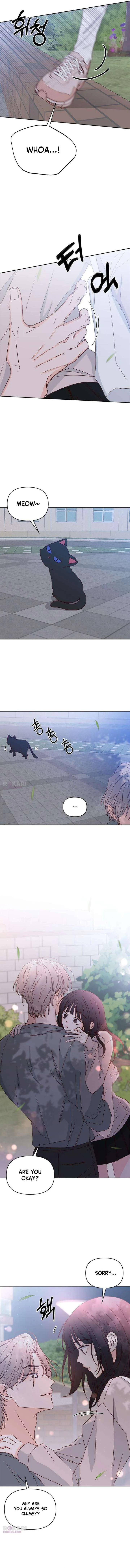 My Meddler in Love Chapter 17 page 12