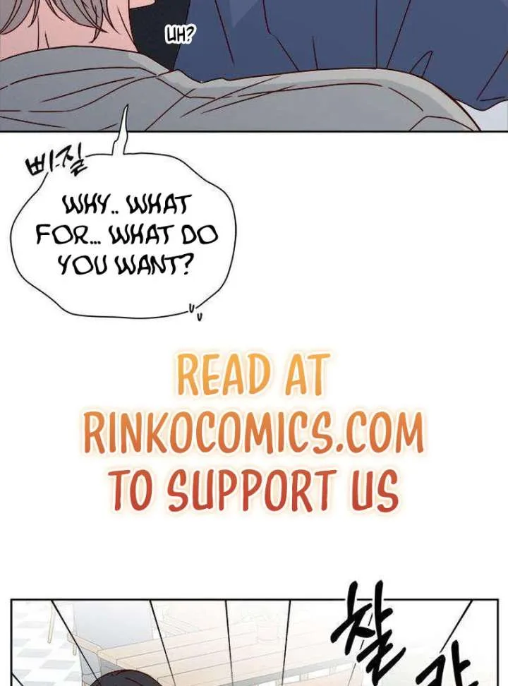 My Meddler in Love Chapter 5 page 84