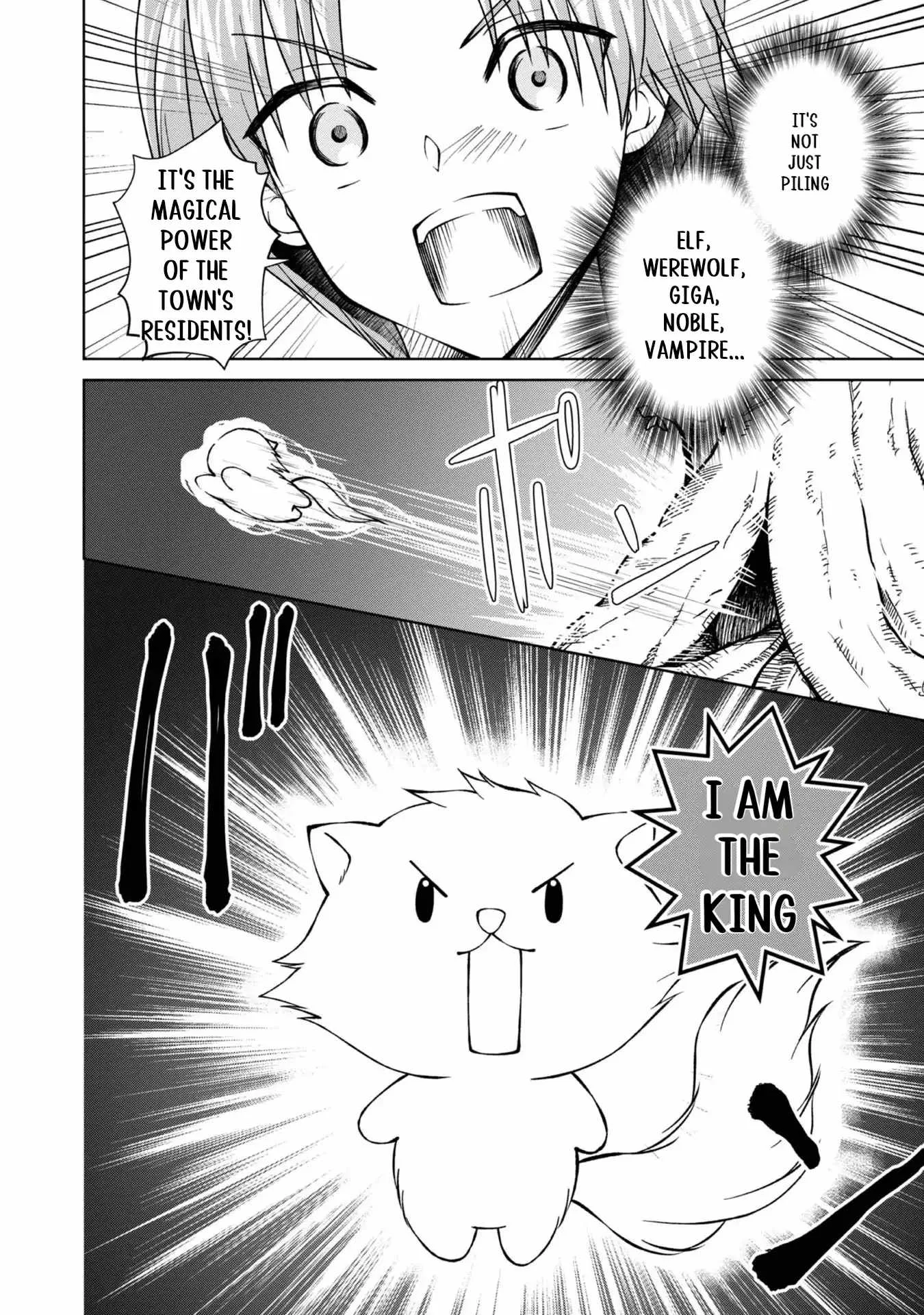 My Noble Family is Headed For Ruin, So I May As Well Study Magic In My Free Time Chapter 31 page 45