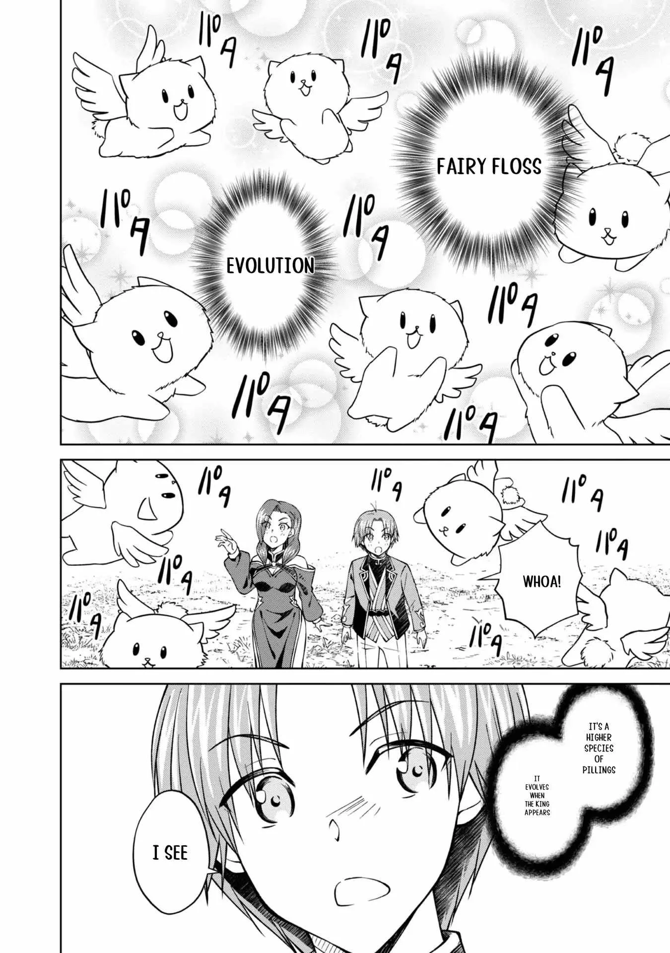 My Noble Family is Headed For Ruin, So I May As Well Study Magic In My Free Time Chapter 31 page 47