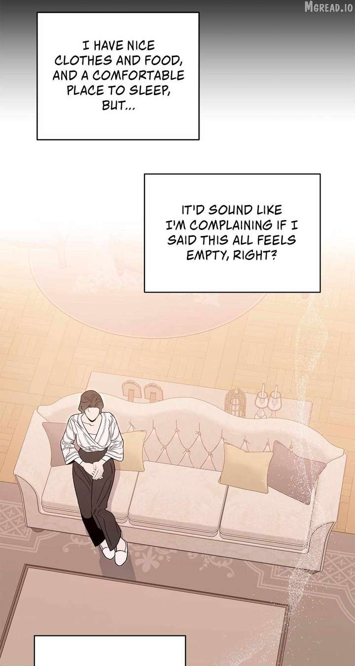 My Younger Sister Chooses Me Tonight Chapter 71 page 12
