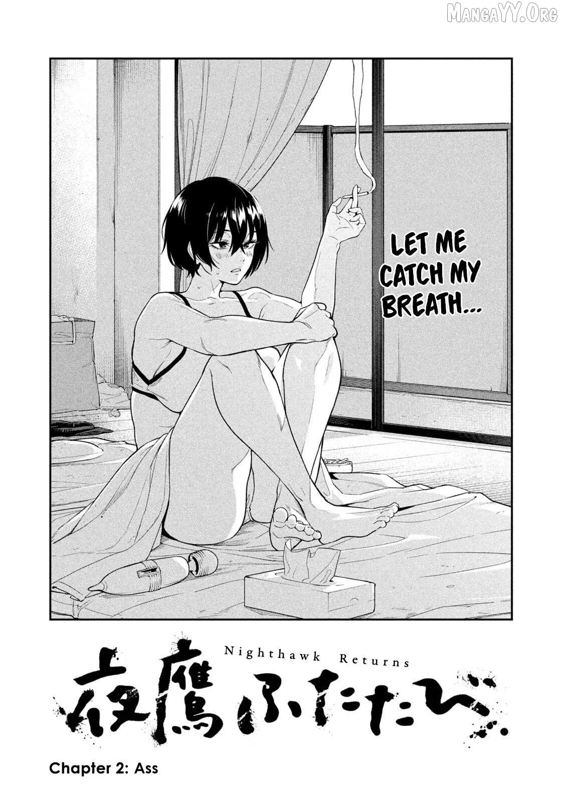 Nighthawk Returns Chapter 2 page 2