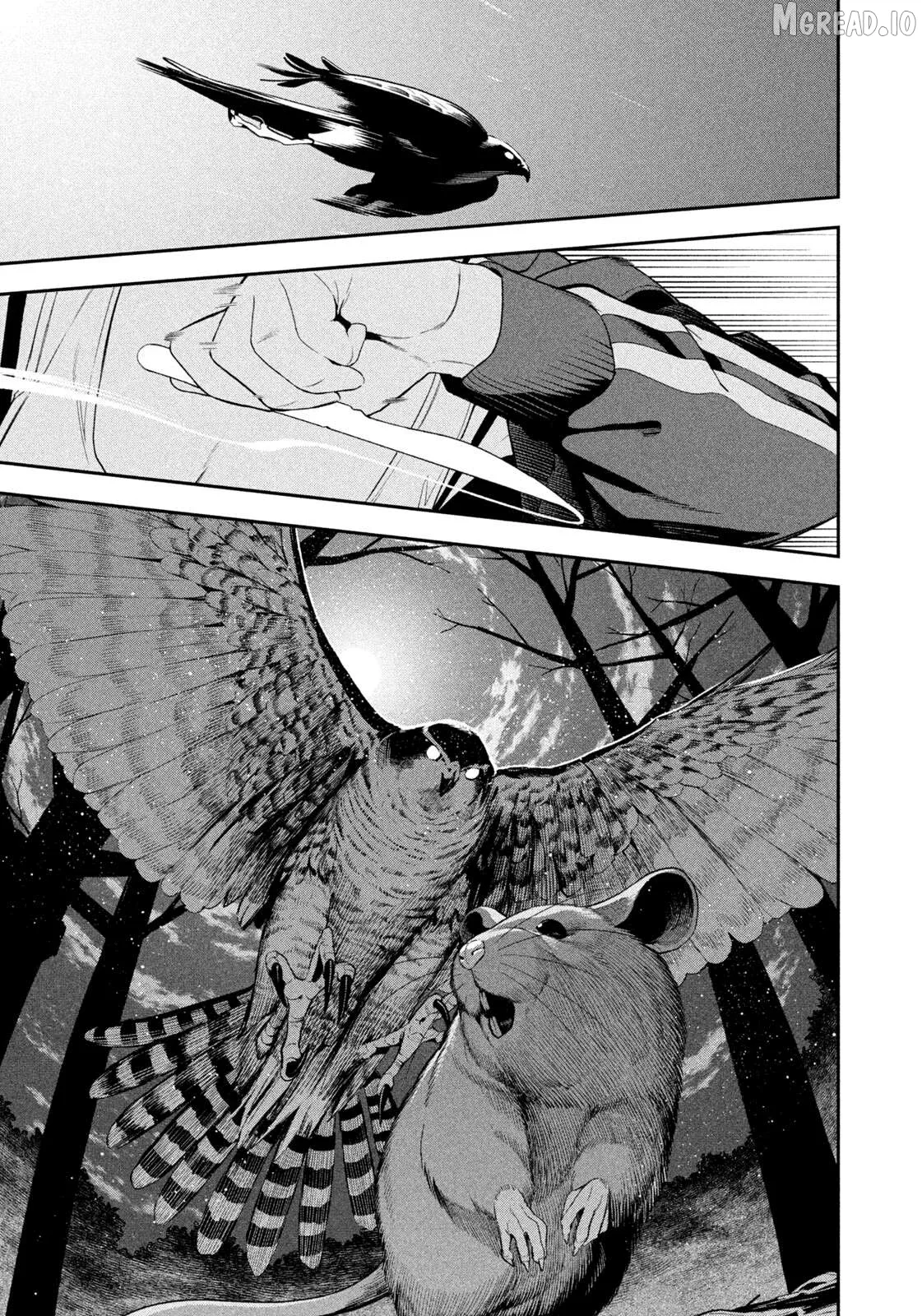 Nighthawk Returns Chapter 21 page 12