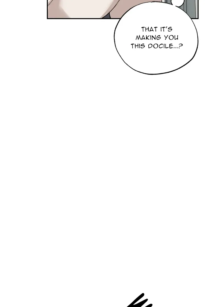 No Returns After Use Chapter 20 page 31