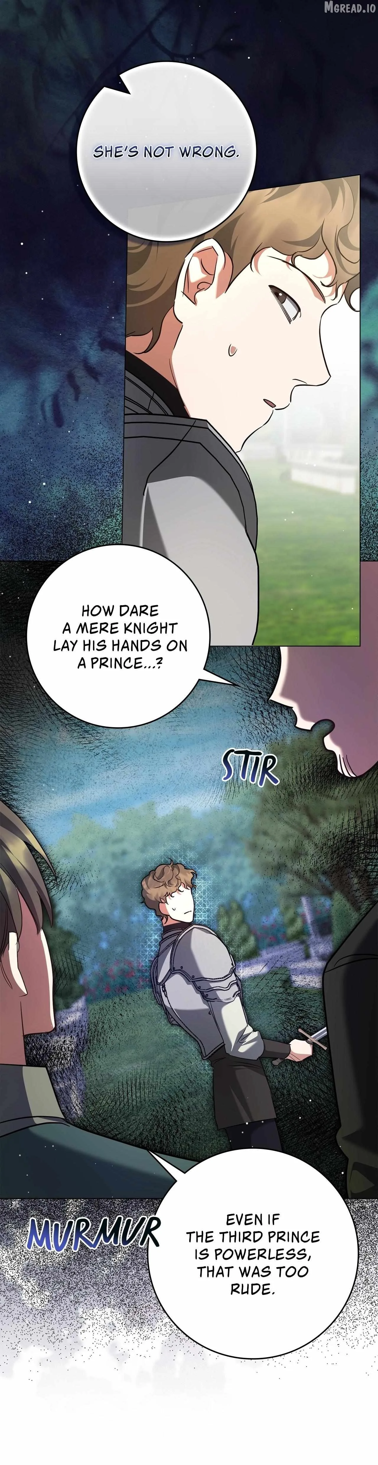 Once an Assassin, Now a Royal Nanny Chapter 18 page 19