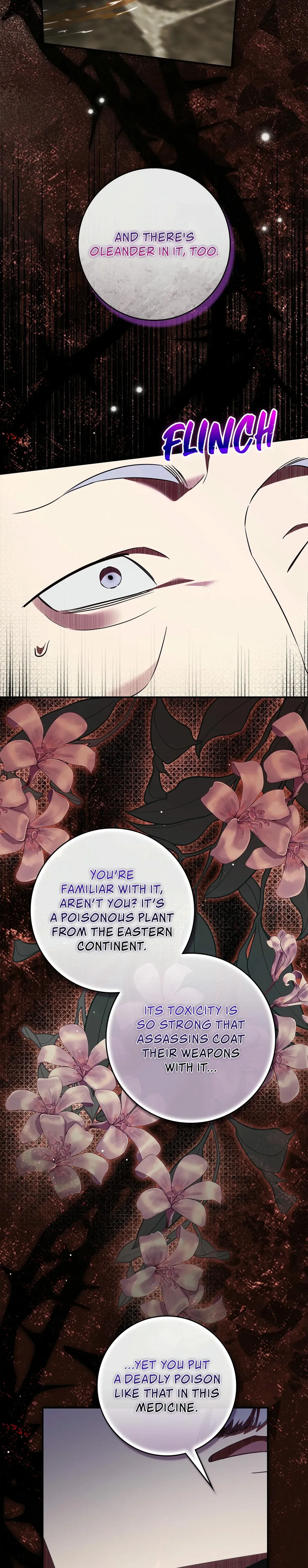 Once an Assassin, Now a Royal Nanny Chapter 22 page 2