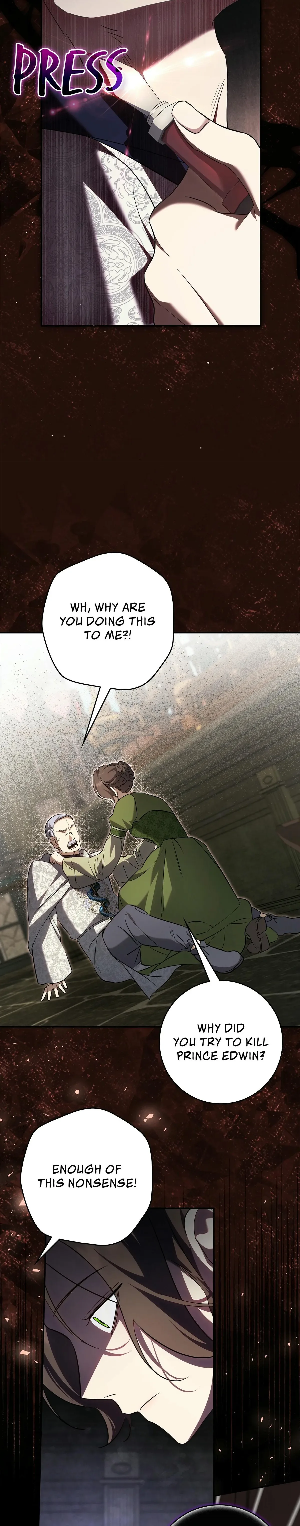 Once an Assassin, Now a Royal Nanny Chapter 22 page 3