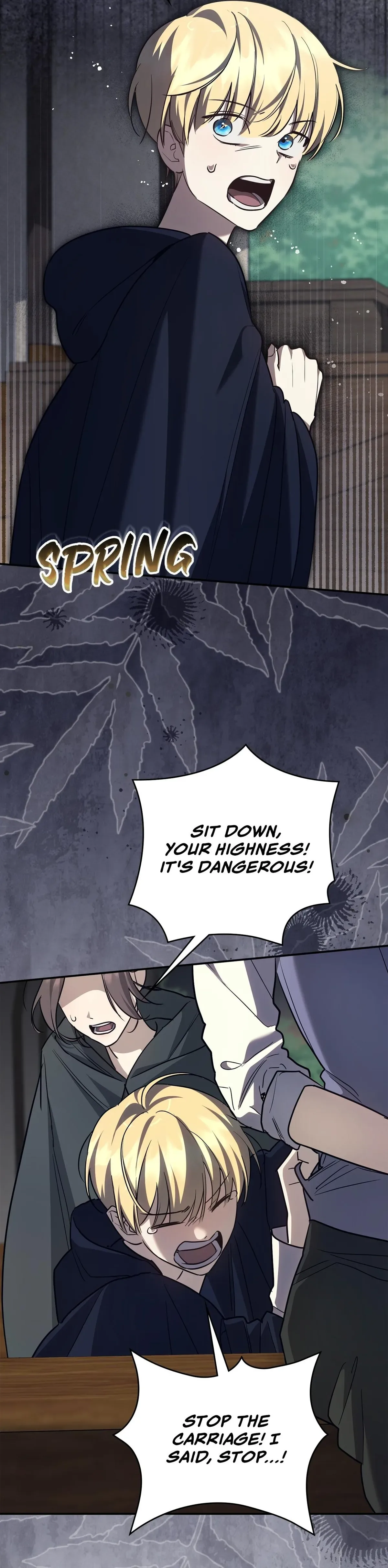 Once an Assassin, Now a Royal Nanny Chapter 25 page 9