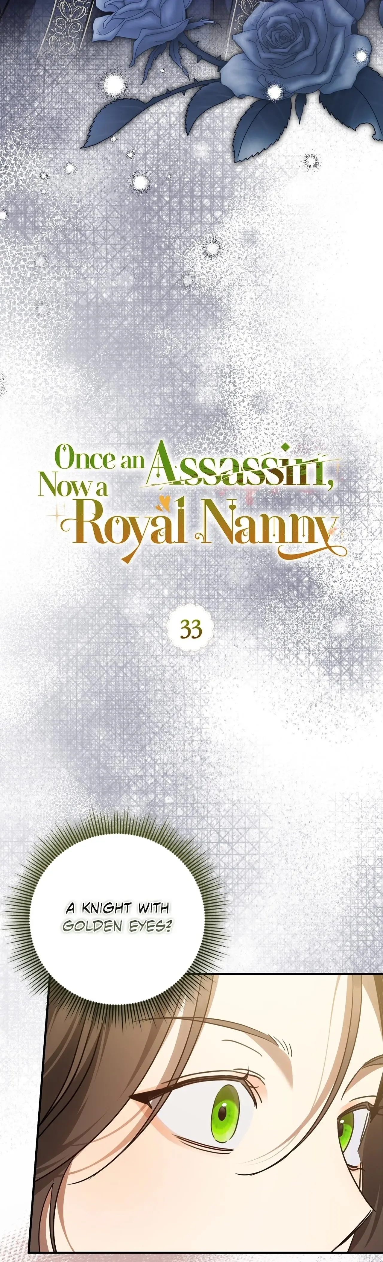 Once an Assassin, Now a Royal Nanny Chapter 33 page 13