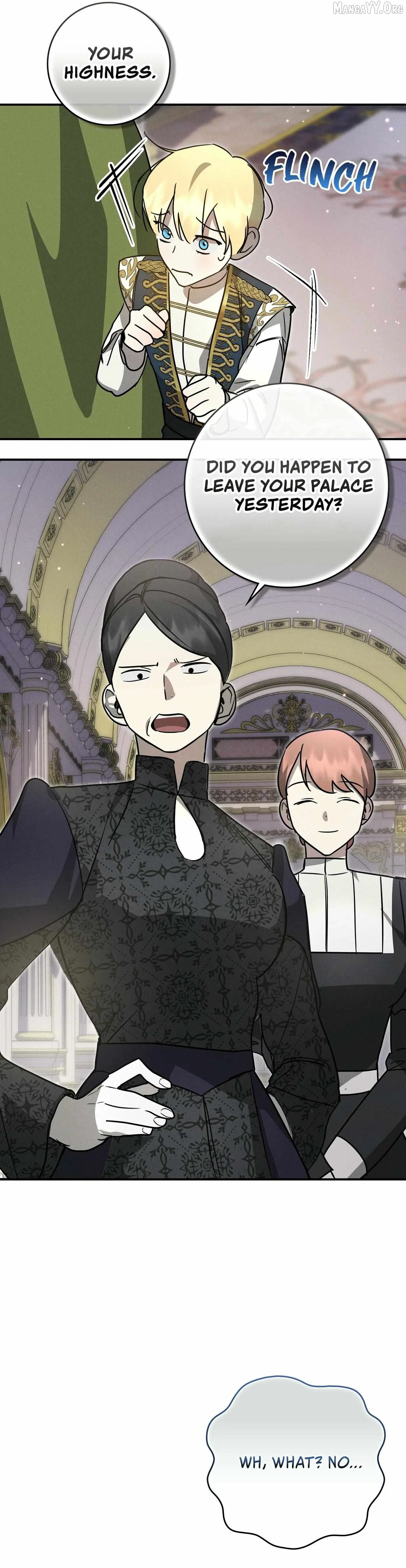 Once an Assassin, Now a Royal Nanny Chapter 7 page 37