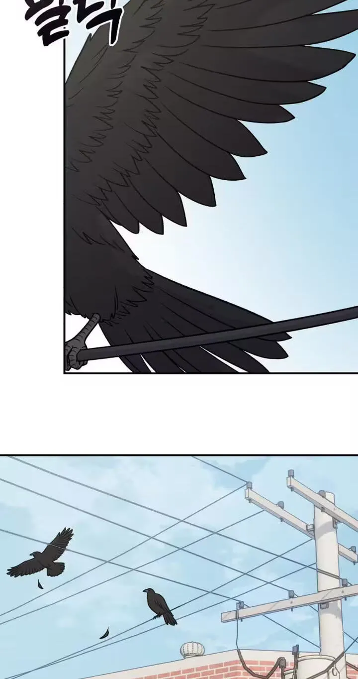 Operation: Heartbeat Chapter 36 page 65