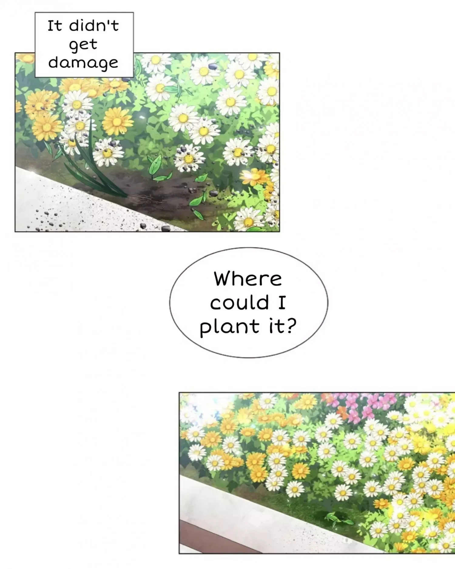 Paper Flower Chapter 12 page 20