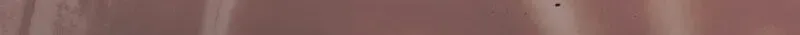 Paradisus Valentinae Chapter 45 page 204