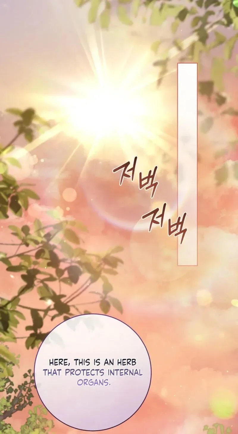 Paradisus Valentinae Chapter 48 page 95