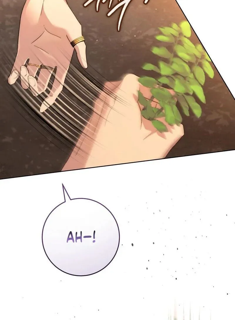 Paradisus Valentinae Chapter 48 page 106