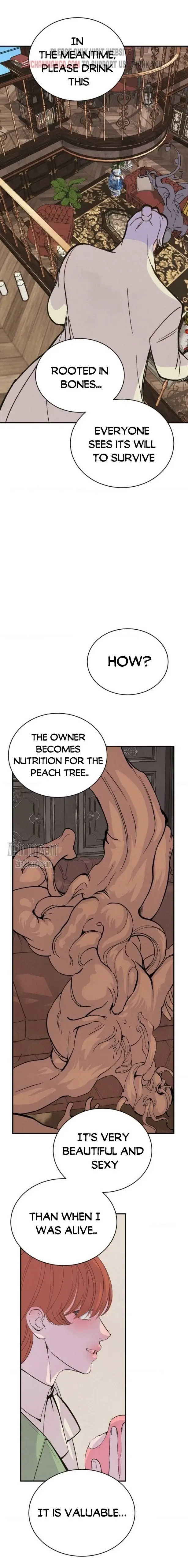 Peach Boy (Yooyoung) Chapter 12 page 20