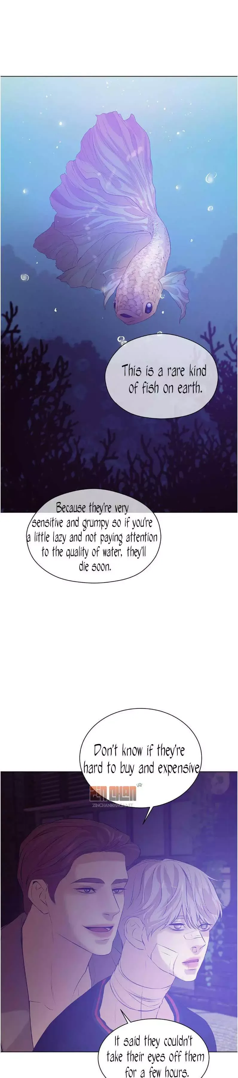 Pearl Boy Chapter 29.1 page 17