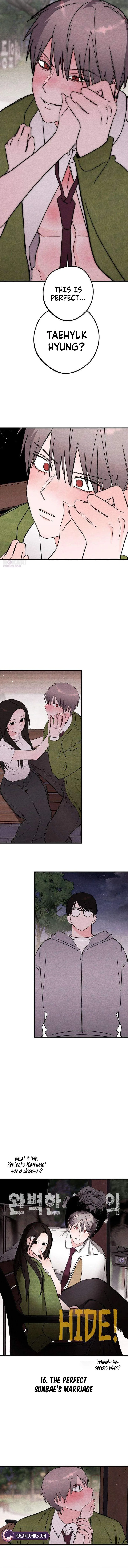 Perfect Senior's Hide! Chapter 16 page 3