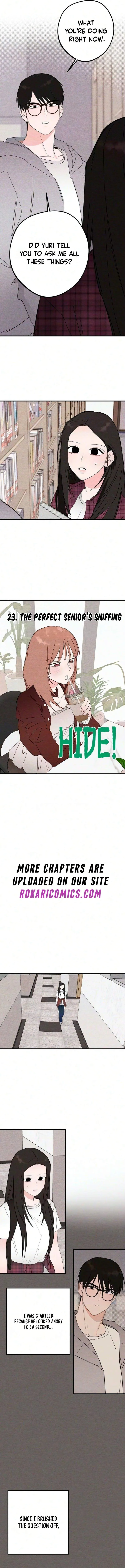 Perfect Senior's Hide! Chapter 23 page 2