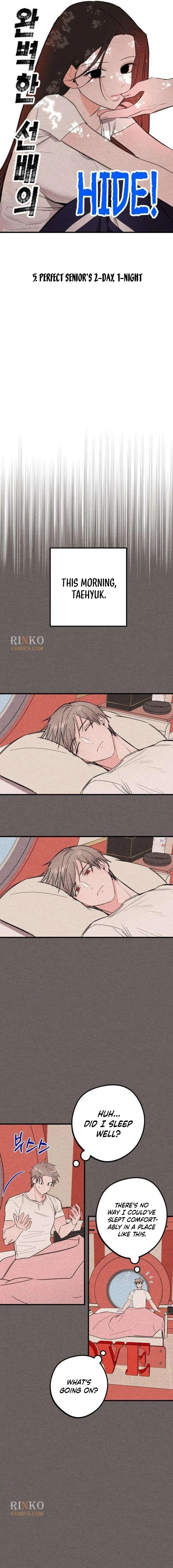 Perfect Senior's Hide! Chapter 5 page 3