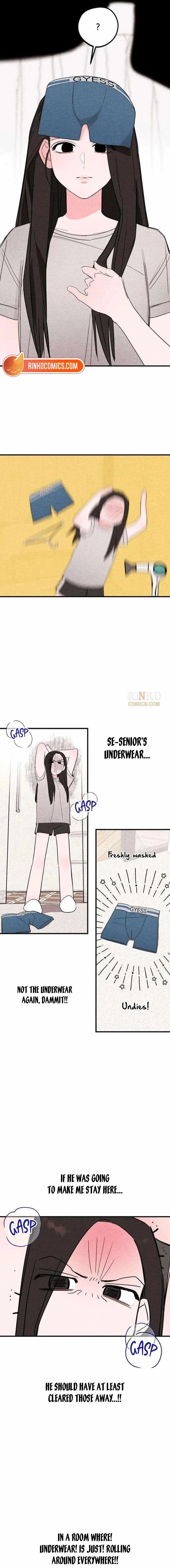 Perfect Senior's Hide! Chapter 8 page 4