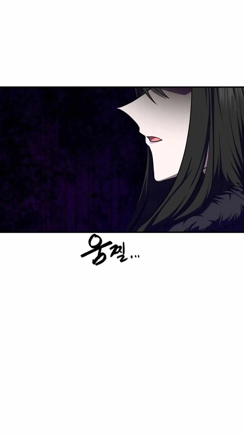 Perhaps Invincible Chapter 63 page 51